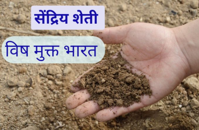 शेंद्रिय शेती विषमुक्त भारत